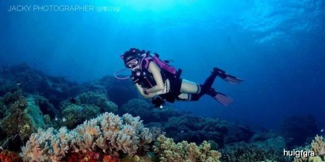 发挥“六大作用” 打造“六个新高地” 奋力谱写新时代新征程新重庆渝中新篇章