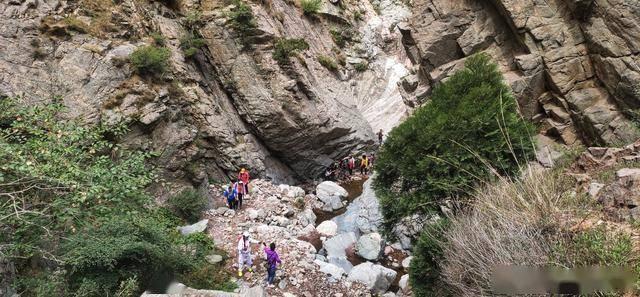 嘉兴主城区持续升级“发新芽” 城市焕新装点新生活